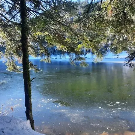 Vologne Апартаменты