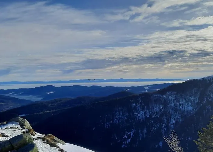 Appartement Résidence Vologne *