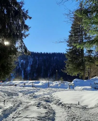 Résidence Vologne Appartement