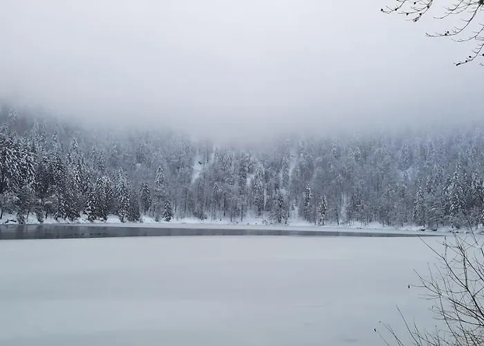Résidence Vologne * La Bresse